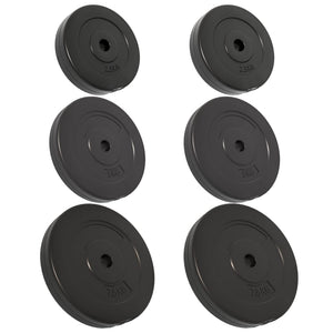 30 kg Zement Hantelscheiben Set - 6 Stück