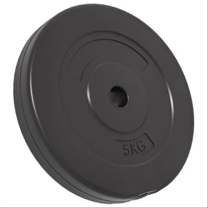 30 kg Zement Hantelscheiben Set - 6 Stück
