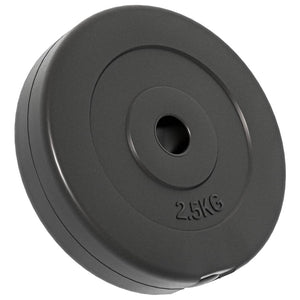 30 kg Zement Hantelscheiben Set - 6 Stück