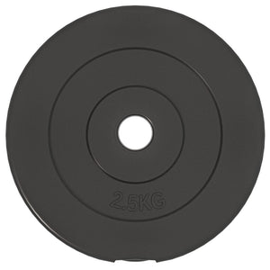 30 kg Zement Hantelscheiben Set - 6 Stück