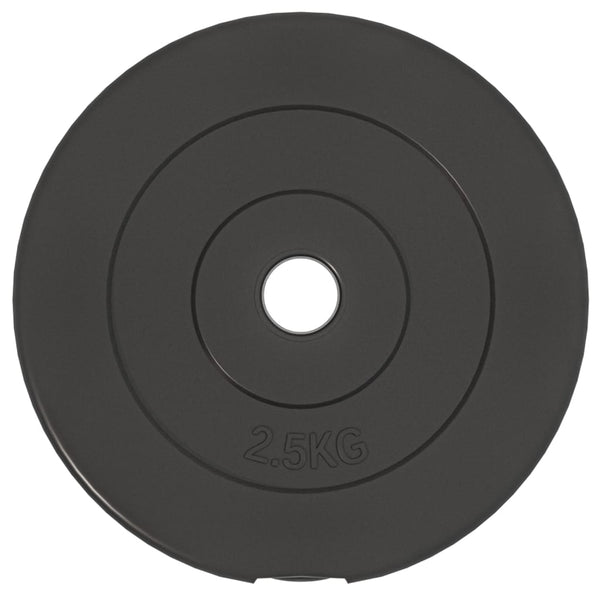 30 kg Zement Hantelscheiben Set - 6 Stück