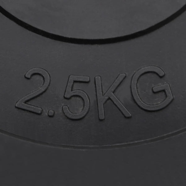 30 kg Zement Hantelscheiben Set - 6 Stück