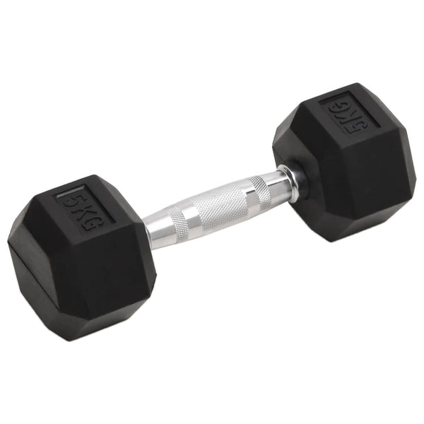2 x 10 kg Hantelset aus Gusseisen