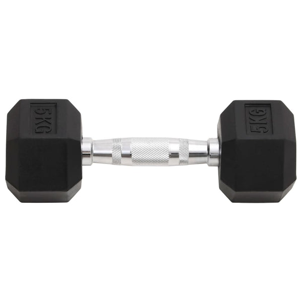 2 x 10 kg Hantelset aus Gusseisen