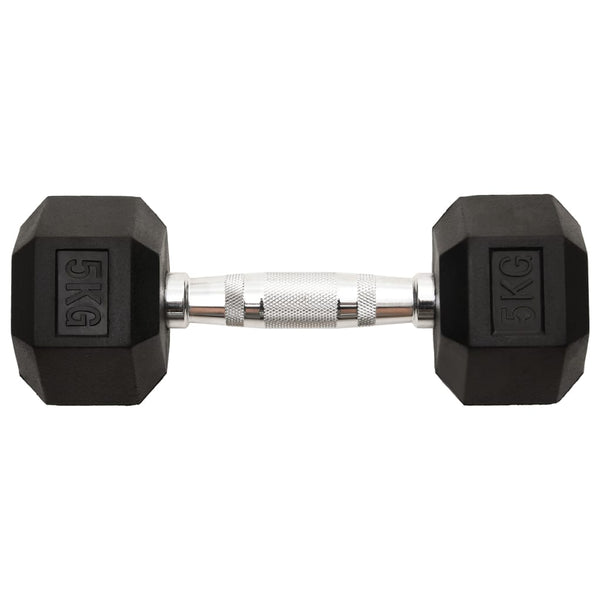 2 x 10 kg Hantelset aus Gusseisen