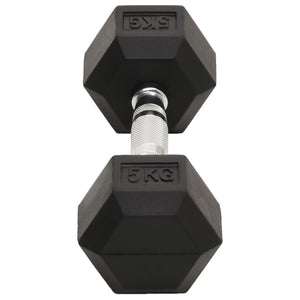 2 x 10 kg Hantelset aus Gusseisen