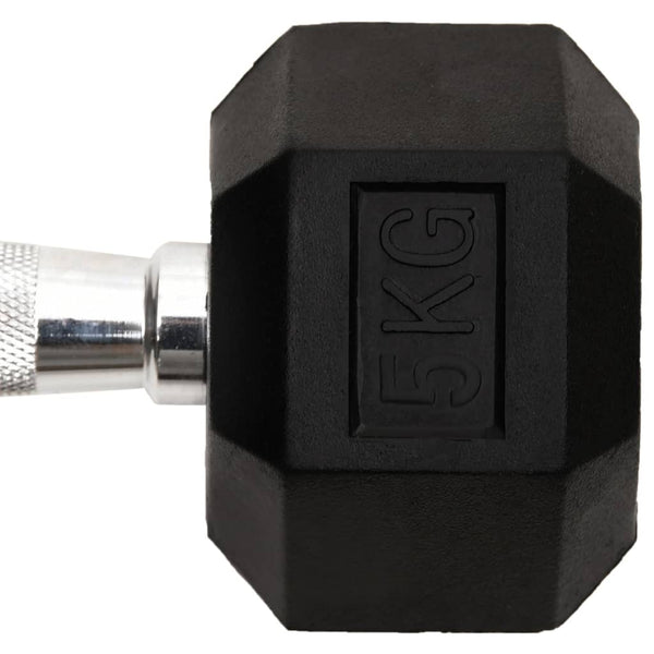 2 x 10 kg Hantelset aus Gusseisen