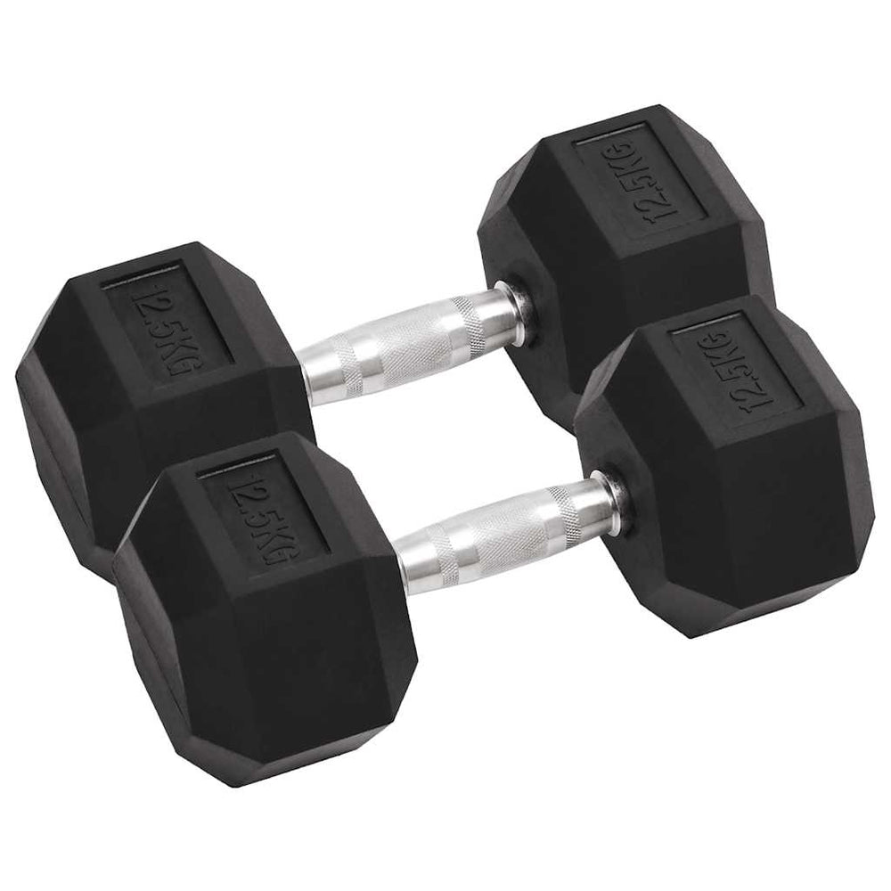 25 kg Hantelset - Gusseisen