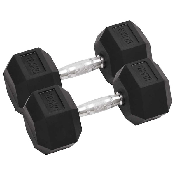 25 kg Hantelset - Gusseisen