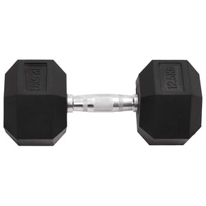 25 kg Hantelset - Gusseisen