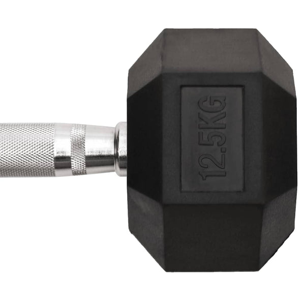 25 kg Hantelset - Gusseisen