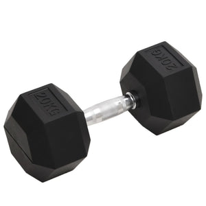 20 kg Gusseisen Kurzhantel