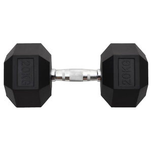 20 kg Gusseisen Kurzhantel