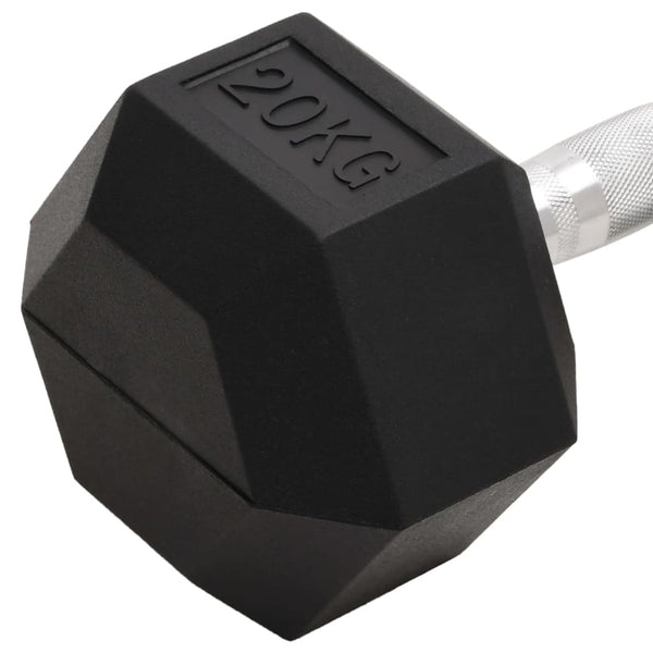 20 kg Gusseisen Kurzhantel
