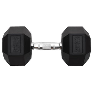 25 kg Gusseisen Kurzhantel