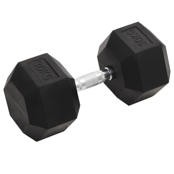 30 kg Gusseisen Kurzhantel