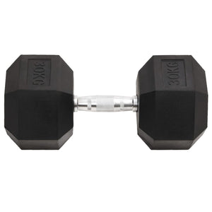 30 kg Gusseisen Kurzhantel