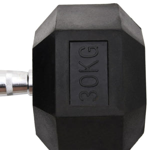 30 kg Gusseisen Kurzhantel