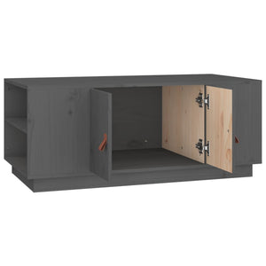 Grauer Couchtisch 100x50cm Kiefer Massivholz