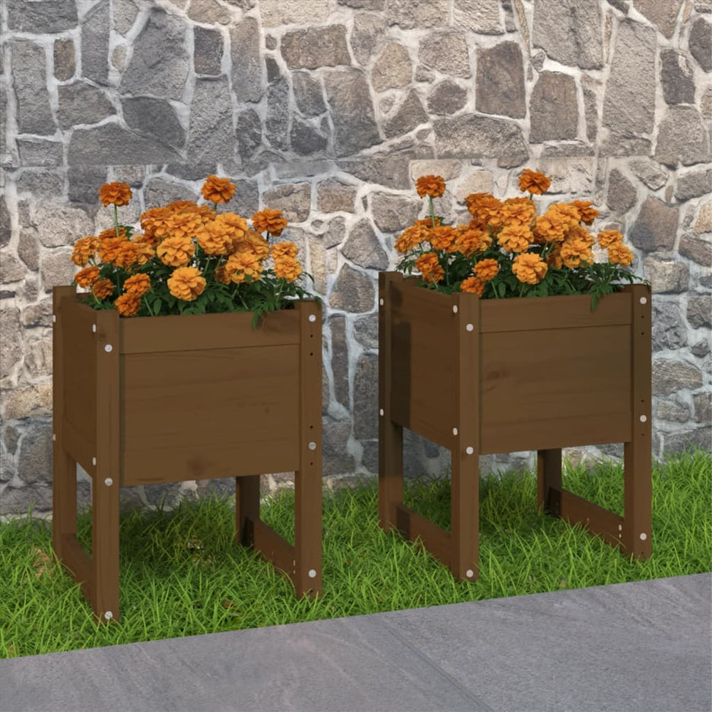 Pflanzkübel 2er Set Honigbraun Kiefer 40x40x52,5cm