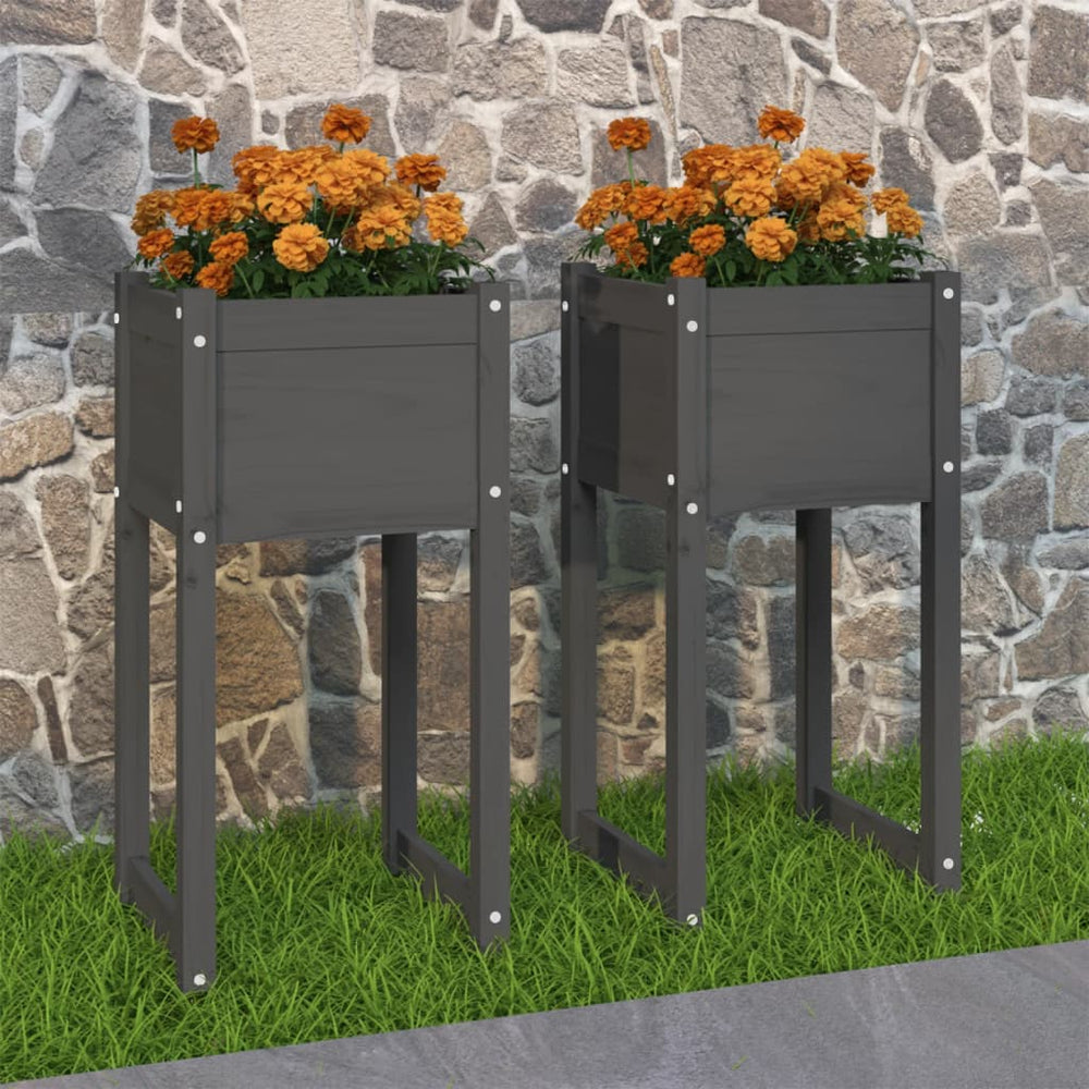 Pflanzkübel 2er Set Grau Kiefer 40x81cm