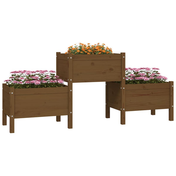 Pflanzkübel Honigbraun Kiefer Massivholz 178,5 cm