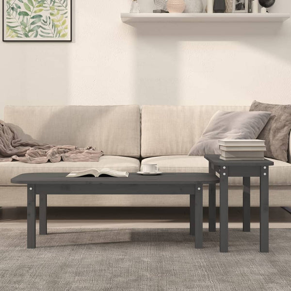 Graues Couchtisch-Set, 2-teilig, Kiefer Massivholz