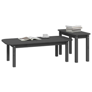 Graues Couchtisch-Set, 2-teilig, Kiefer Massivholz