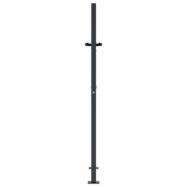 Gartentor Anthrazit 100x150 cm Stahl Gras-Design