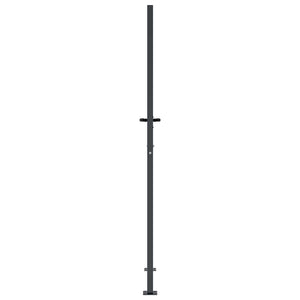 Gartentor Anthrazit 100x175 cm Stahl Gras-Design