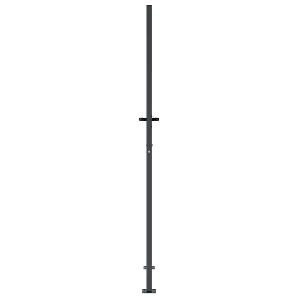 Gartentor Anthrazit 100x175 cm Stahl Gras-Design