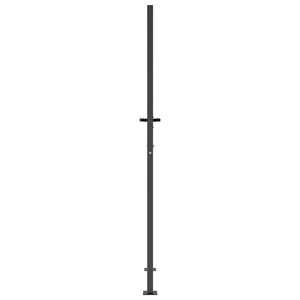Gartentor Anthrazit 100x200 cm Stahl Gras-Design