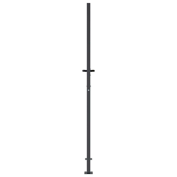 Gartentor Anthrazit 100x200 cm Stahl Gras-Design