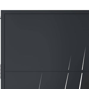 Gartentor Anthrazit 100x200 cm Stahl Gras-Design