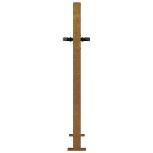Gartentor 100x100 cm Cortenstahl Gras-Design