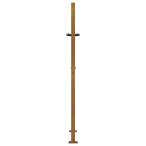 Gartentor 100x125 cm Cortenstahl Gras-Design