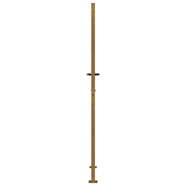 Gartentor 100x175 cm Cortenstahl Gras-Design