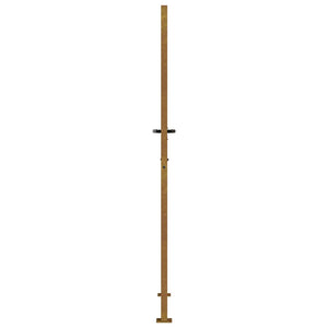 Gartentor 100x200 cm Cortenstahl Gras-Design