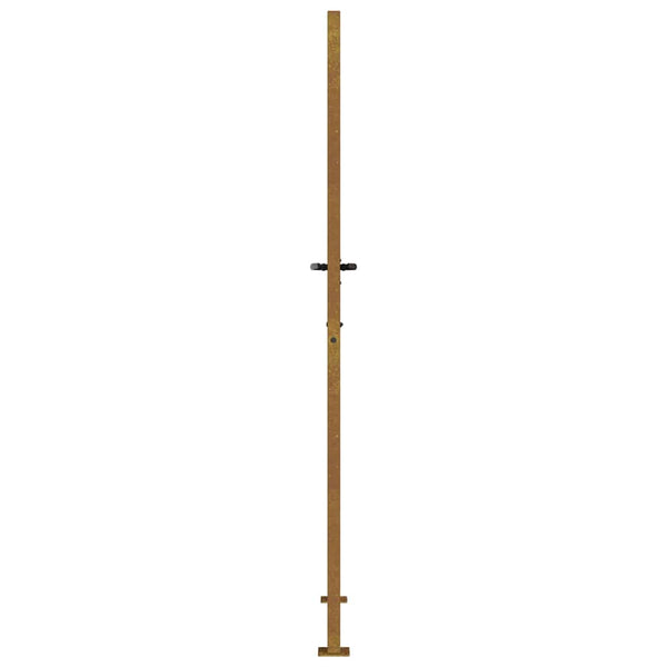 Gartentor 100x200 cm Cortenstahl Gras-Design