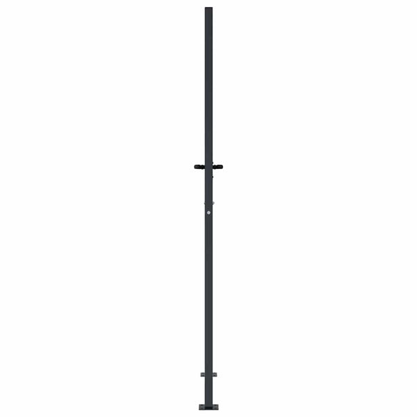 Gartentor Anthrazit 100x200 cm Stahl Bambus-Design