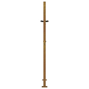 Gartentor 100x150 cm Cortenstahl Bambus-Design