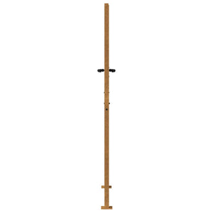 Gartentor 100x200 cm Cortenstahl