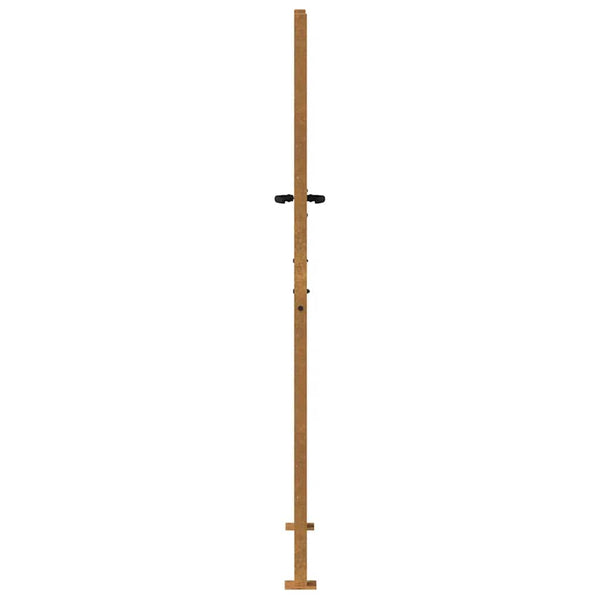 Gartentor 100x200 cm Cortenstahl Bambus-Design