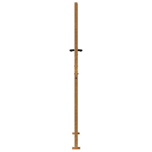 Gartentor 100x200 cm Cortenstahl