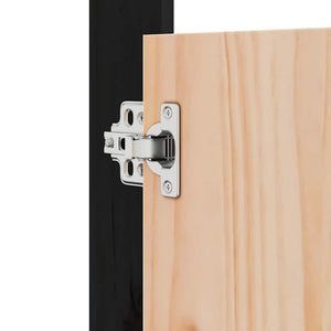 Outdoor-Küche Türen Schwarz Kiefernholz 50x82cm 2er-Set
