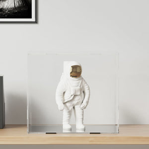 Displaybox Transparent 40x36x35 cm Acryl