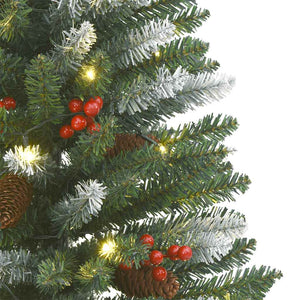4-tlg. PVC Türschmuck-Set Weihnachten