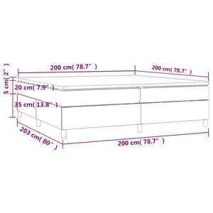 vidaXL Lit tapissier avec matelas Gris clair 200x200 cm Velours