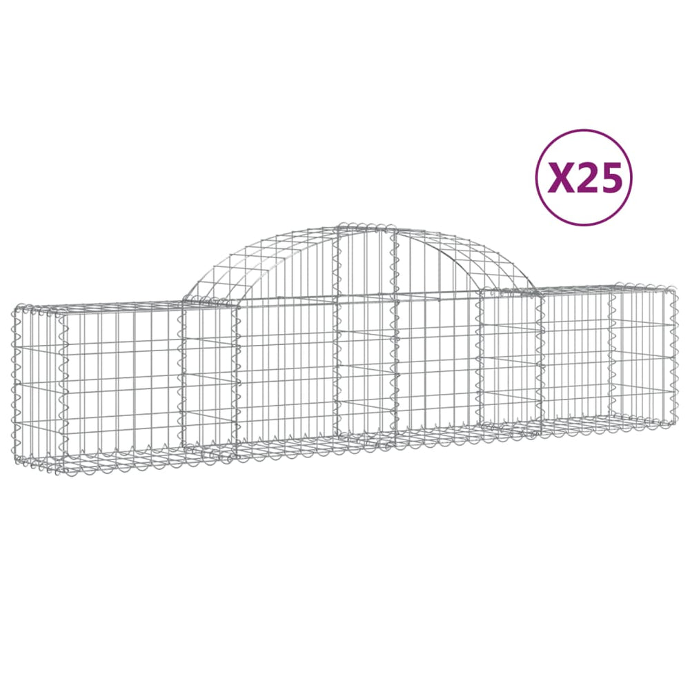 vidaXL Gabions avec arche 25 pcs 200x30x40/60 cm Fer galvanisé