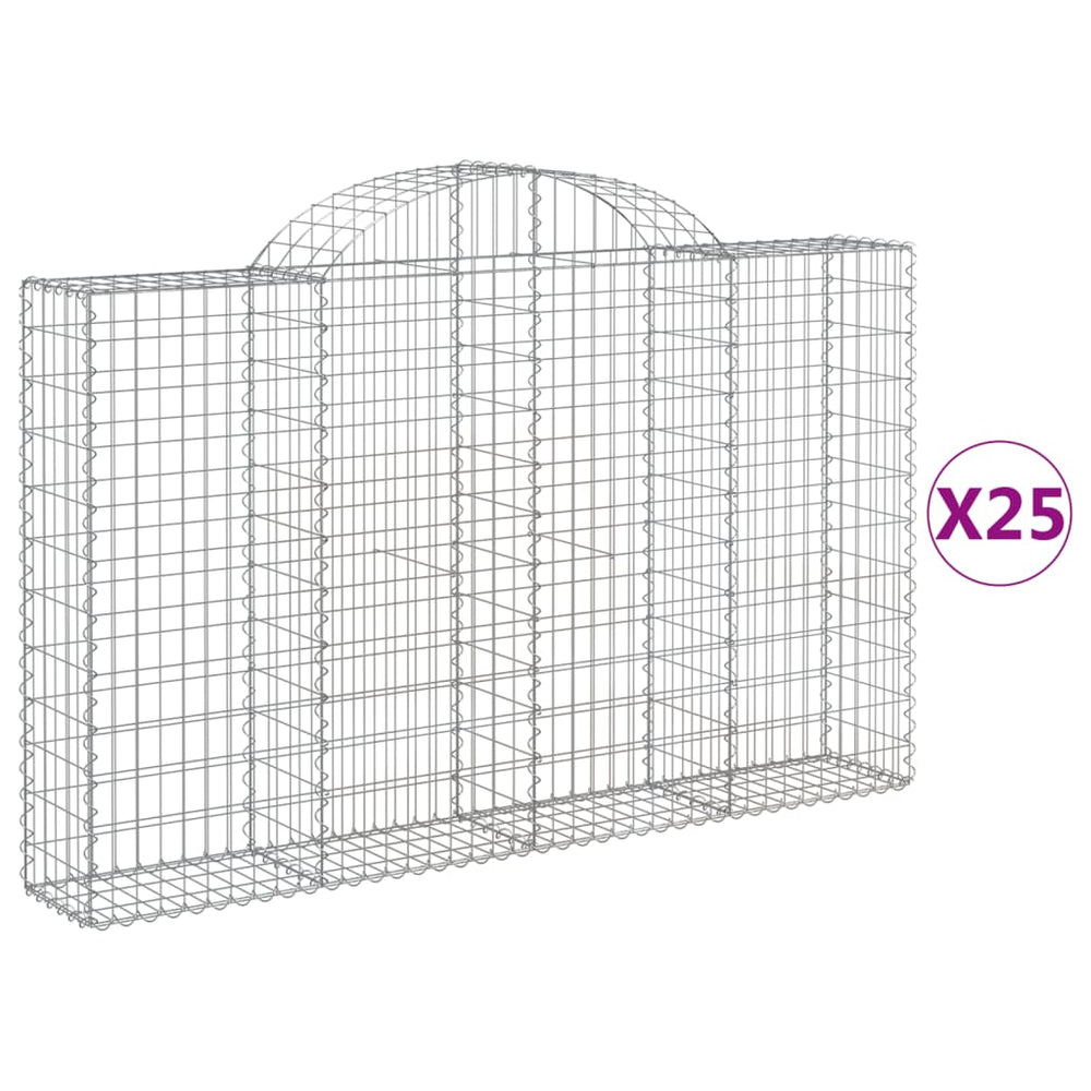 vidaXL Gabions avec arche 25 pcs 200x30x120/140 cm Fer galvanisé